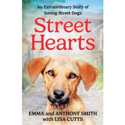 Street Hearts - Smith, Emma