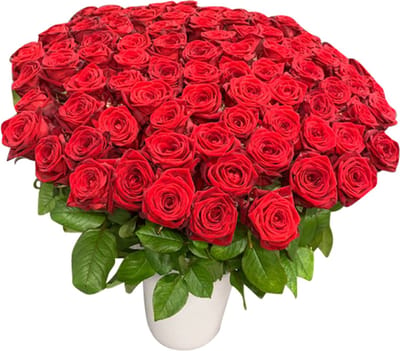 100 rode rozen (70 cm) in vaas