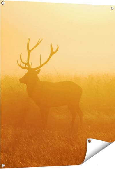 Gards Tuinposter Hert tijdens de Mist - 80x100 cm - Tuindoek - Tuindecoratie - Wanddecoratie buiten - Tuinschilderij