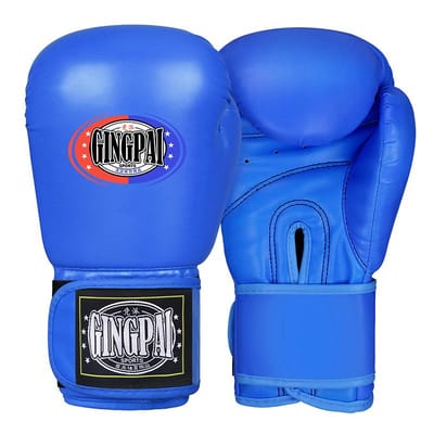 Premium Bokshandschoenen voor Volwassenen Vrouwen Mannen MMA Muay Thai Training Free Fight 8 10 12 6Oz 6oz