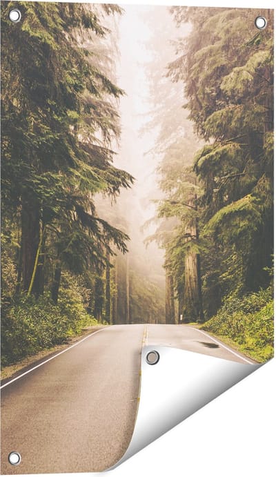 Gards Tuinposter Highway in Californië Omring met Bos - 40x60 cm - Tuindoek - Tuindecoratie - Wanddecoratie buiten - Tuinschilderij