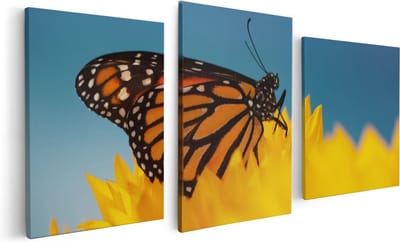 Artaza Canvas Schilderij Drieluik Oranje Vlinder Bij Een Zonnebloem - 120x60 - Foto Op Canvas - Canvas Print