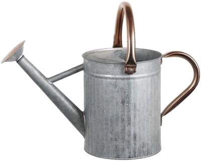 Gieter, grote metalen gieter van 5 liter met afneembare tuit en 2 handgrepen voor buitenplanten, zilver