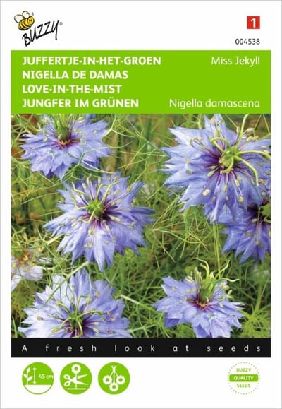 Juffertje in het groen Miss Jekyll (Nigella damascena)