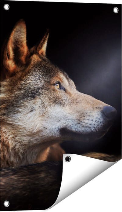 Gards Tuinposter Wolvenkop met een Zonnestraal - Wolf - 40x60 cm - Tuindoek - Tuindecoratie - Wanddecoratie buiten - Tuinschilderij