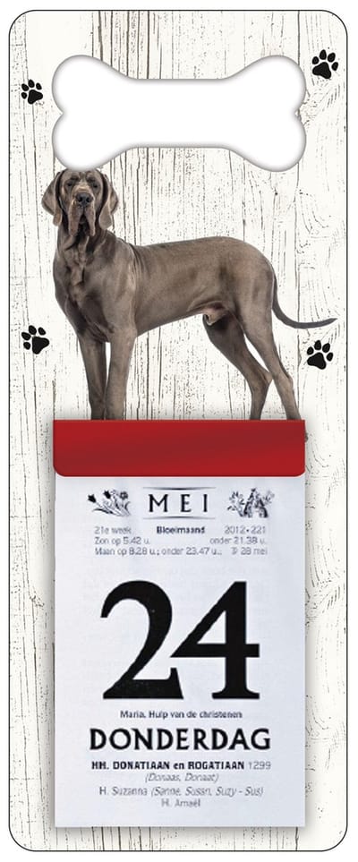 Scheurkalender 2027 Hond: Deense Dog