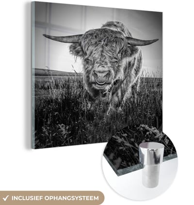 MuchoWow® Glasschilderij 50x50 cm - Schilderij acrylglas - Schotse Hooglander - Zwart - Wit - Foto op glas - Schilderijen