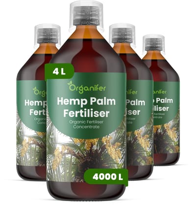 Vloeibare Meststof Voor Henneppalm 4X1 L Voor 4000 L - Npk 2-1-8 - Dichtheid - Sterk Wortelstelsel - Ondersteunt Krachtige Blad- En Stamontwikkeling - Behoudt Een Sterke Plantstructuur Gedurende Het Groeiseizoen - Organifer