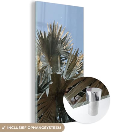 MuchoWow® Glasschilderij 60x120 cm - Schilderij acrylglas - Palm - Bladeren - Tropisch - Zomer - Foto op glas - Schilderijen
