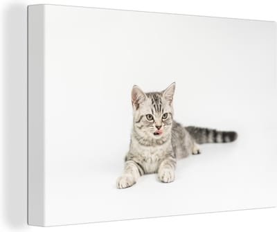 Canvas Schilderij Kitten - Wit - Tong - Meisjes - Kinderen - Jongens - Kindje - 30x20 cm - Wanddecoratie