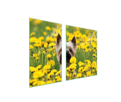 TMK ArtDeko - Snijplank - 100x52 cm - Glas - Hondenmotief