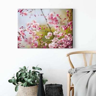 Canvas print DD123038 CherryBlossoms A.S. Création 0,7 x 0,5 m Roze Kantoor Hal/Gang Keuken Slaapkamer Woonkamer