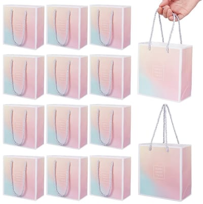 Allecto - Geschenktassen - Kraftpapier geschenkzakken - Herbruikbaar - 24 stuks - Perfect voor bruiloften en feestjes - Met handgrepen