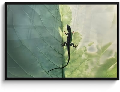 Poster in lijst - Fotolijst 120x80 cm - Posters - Hagedis - Blad - Nerven - Groen - Posterlijst zwart - Decoratie - Wanddecoratie woonkamer - Muurdecoratie slaapkamer