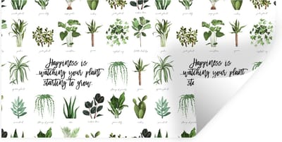 Muurstickers - Sticker Folie - Spreuken - Quotes - Happiness is... watching your plant starting to grow - Planten - 40x20 cm - Plakfolie - Muurstickers Kinderkamer - Zelfklevend Behang - Zelfklevend behangpapier - Stickerfolie