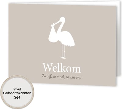 8 invul Geboortekaarten - dubbelgevouwen Invulkaarten - Geboortekaartjes - set van 8 - Geboortekaartjes met enveloppen - Invulgeboortekaarten - 8 geboortekaarten