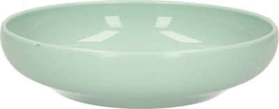 Plasticforte Kommetje/schaaltje - mintgroen - D16 x 4 cm - 520 ml - kunststof
