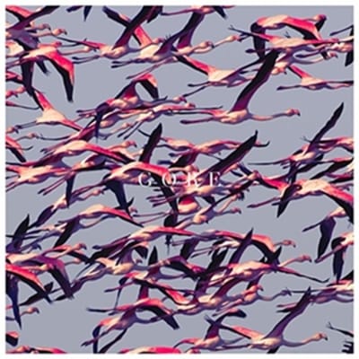Gore - Deftones