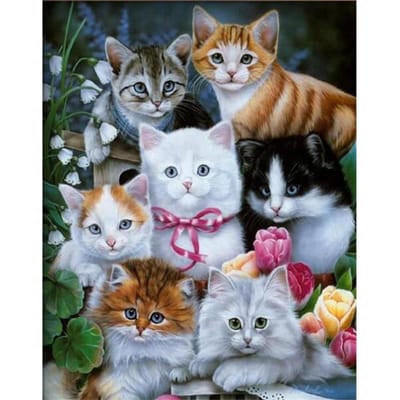 Bricolage 5D plein diamant peinture diamant Animal chat mignon point de croix ensemble diamant broderie 20X30CM gray