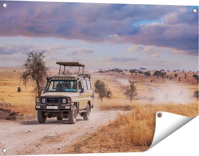 Gards Tuinposter Safari Auto in de Savanne - 90x60 cm - Tuindoek - Tuindecoratie - Wanddecoratie buiten - Tuinschilderij