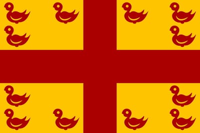 Vlag Maldegem 200x300cm