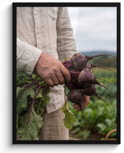 Poster in lijst - Fotolijst 60x80 cm - Posters - Bieten - Vers - Moestuin - Posterlijst zwart - Decoratie - Wanddecoratie woonkamer - Muurdecoratie slaapkamer