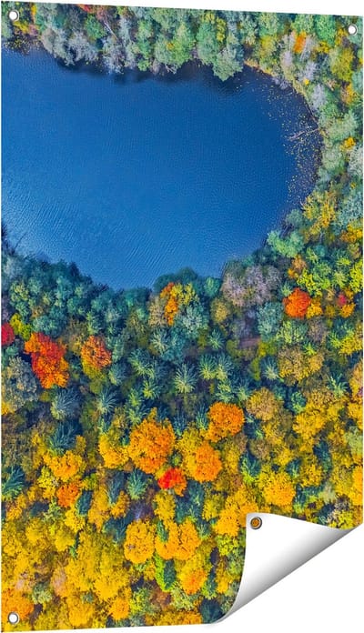 Gards Tuinposter Kleurrijke Bos met Bomen naast een Meer - 60x90 cm - Tuindoek - Tuindecoratie - Wanddecoratie buiten - Tuinschilderij