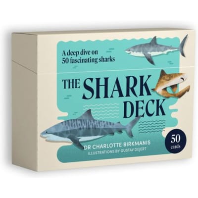 The Shark Deck - Charlotte Birkmanis