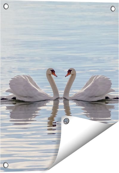Gards Tuinposter Zwanen Koppel op het Water - 40x50 cm - Tuindoek - Tuindecoratie - Wanddecoratie buiten - Tuinschilderij