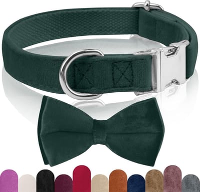 Stunq® Premium Comfortabele Hondenhalsband van Zacht Neopreen - Verstelbaar en Duurzaam