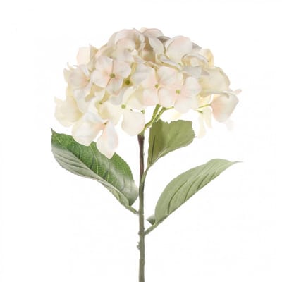Single hydrangea 68 cm cream