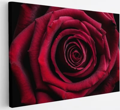 Saammp Canvas Schilderij - Rode Roos Close-Up - Natuur - Abstract - 30x20 - Foto op canvas - Wanddecoratie - Muurdecoratie Woonkamer - Kantoor Decoratie