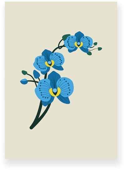 Poster 20x30 cm - Orchidee - Bloemen - Beige - Blauw - Minimalistisch - Botanisch - Muurdecoratie - Wanddecoratie