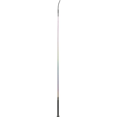 Rijdende zweep Whip & Go Hologram
