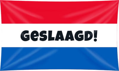 Geslaagd vlag voor vlaggenstok - Rood/Wit/Blauw stijl - 150x90 cm - Diploma versiering