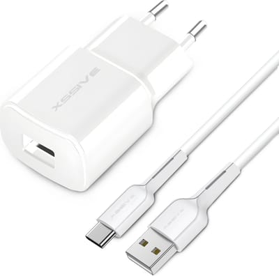 USB Adapter met USB-C Kabel - 1 Meter - 5V/1A - Universeel voor o.a Telefoon, Koptelefoon, Draadloze Oortjes, Controller