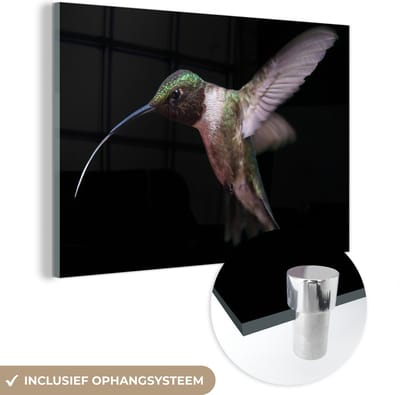 MuchoWow® Glasschilderij 120x80 cm - Schilderij acrylglas - Kolibrie - Vogel - Veren - Foto op glas - Schilderijen