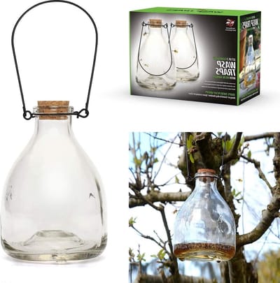 2-delige WASP Trap Catcher Glazen Fles - Traditionele Honing Pot Design - Wit