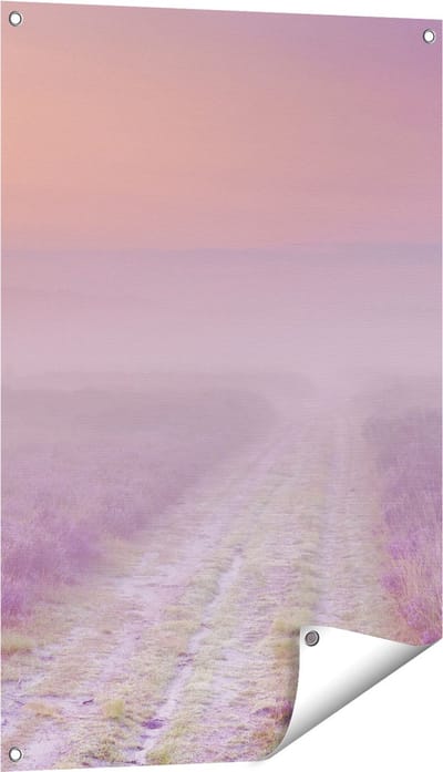 Gards Tuinposter Pad in de Weide tijdens de Mist - 60x90 cm - Tuindoek - Tuindecoratie - Wanddecoratie buiten - Tuinschilderij