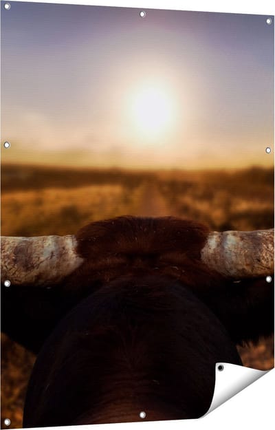 Gards Tuinposter Stierenhoorns bij Zonsondergang - 90x120 cm - Tuindoek - Tuindecoratie - Wanddecoratie buiten - Tuinschilderij