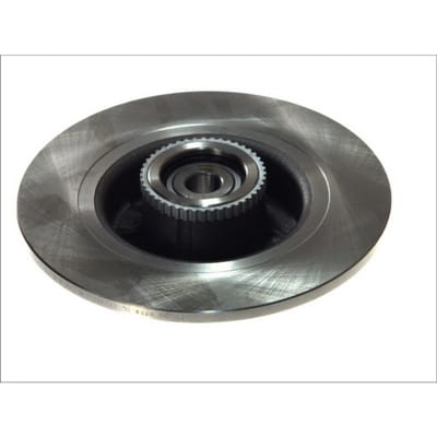 Remschijf DELPHI BG9029RS achter, volledig, 1 Stuk