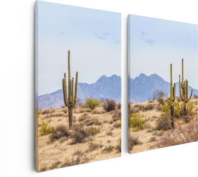 Artaza Canvas Schilderij Tweeluik Cactussen in de Woestijn - 80x60 - Foto Op Canvas - Canvas Print