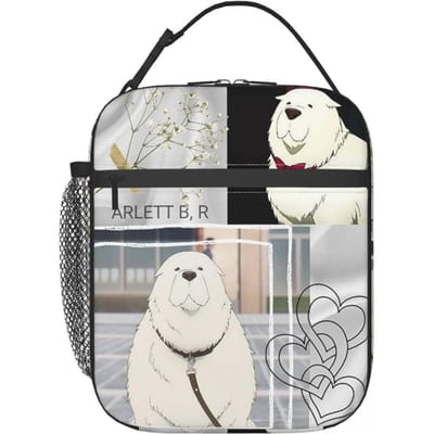 Kawaii Manga Spy X Family Geïsoleerde Lunchtas voor Vrouwen Kantoor Koeltas Thermische Voedselbox Draagbare Lunchboxen Container One Size