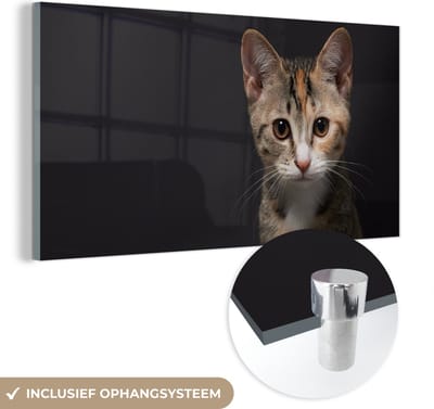 MuchoWow® Glasschilderij 40x20 cm - Schilderij acrylglas - Kat - Zwart - Portret - Foto op glas - Schilderijen