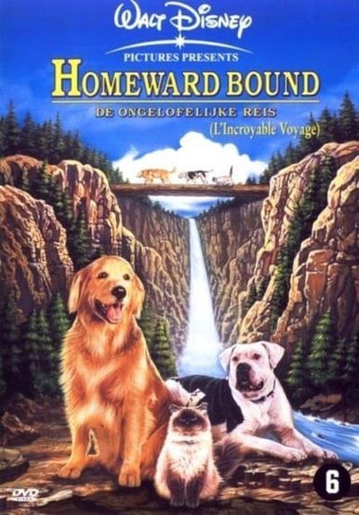 Homeward Bound - The Incredible Journey