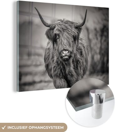MuchoWow® Glasschilderij 160x120 cm - Schilderij acrylglas - Schotse Hooglander - Zwart - Wit - Foto op glas - Schilderijen