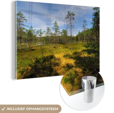 ® Glasschilderij 180x120 cm - Schilderij acrylglas - Hoge bomen op de heide in het Nationaal park Skuleskogen in Zweden - Foto op glas - Muurdecoratie woonkamer - Wanddecoratie slaapkamer - Schilderijen
