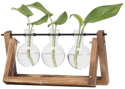 Voortplantingsstation met vintage houten standaard en metalen roterende staaf voor hydrocultuurplanten. Bureaublad glazen plantenbak, bolvormige vaas, bruin.
