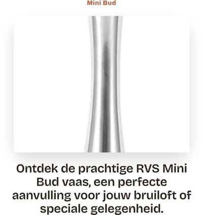 Dailygoods- Bloemenvaas Roestvrij Staal - Mini Bud Vaas - Moderne Tafeldecoratie - Bruiloft - Afmetingen 17 x 4 x 5 cm - Gewicht 241 g