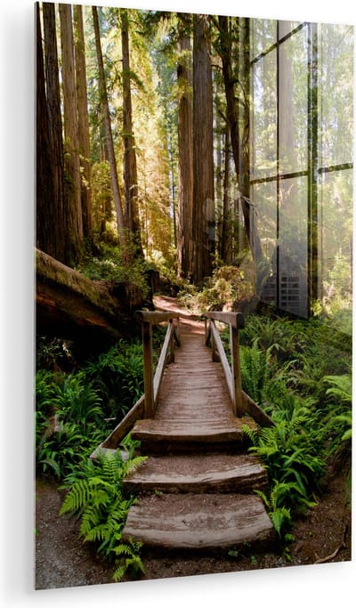 MuchoWow® Glasschilderij 100x150 cm - Schilderij acrylglas - Jungle - Natuur - Trap - Bomen - Foto op glas - Muurdecoratie woonkamer - Wanddecoratie slaapkamer - Schilderijen